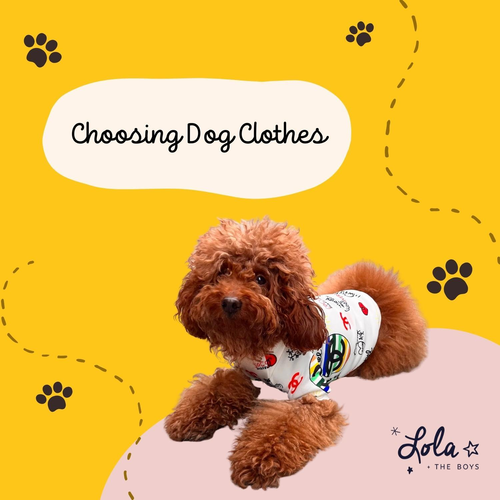 Helpful Tips For Choosing Dog Clothes | Pet Fashion Ideas