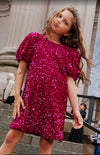 Raspberry Velvet Shimmer Dress