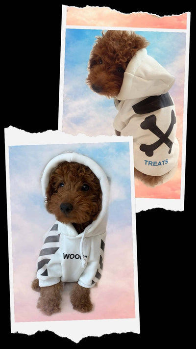 Lola + The Boys Doggie “Woof “ Doggie Hoodie