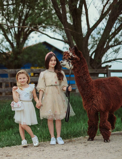 Lola + The Boys Dress Gold and White Unicorn Ruffle Sleeve Dress