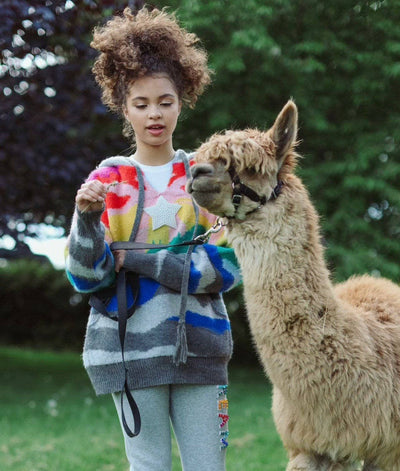 Lola + The Boys Hoodie Shooting Star Rainbow Sweater