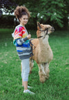 Lola + The Boys Sweaters & Sweatshirts Women's Shooting Star Rainbow Sweater